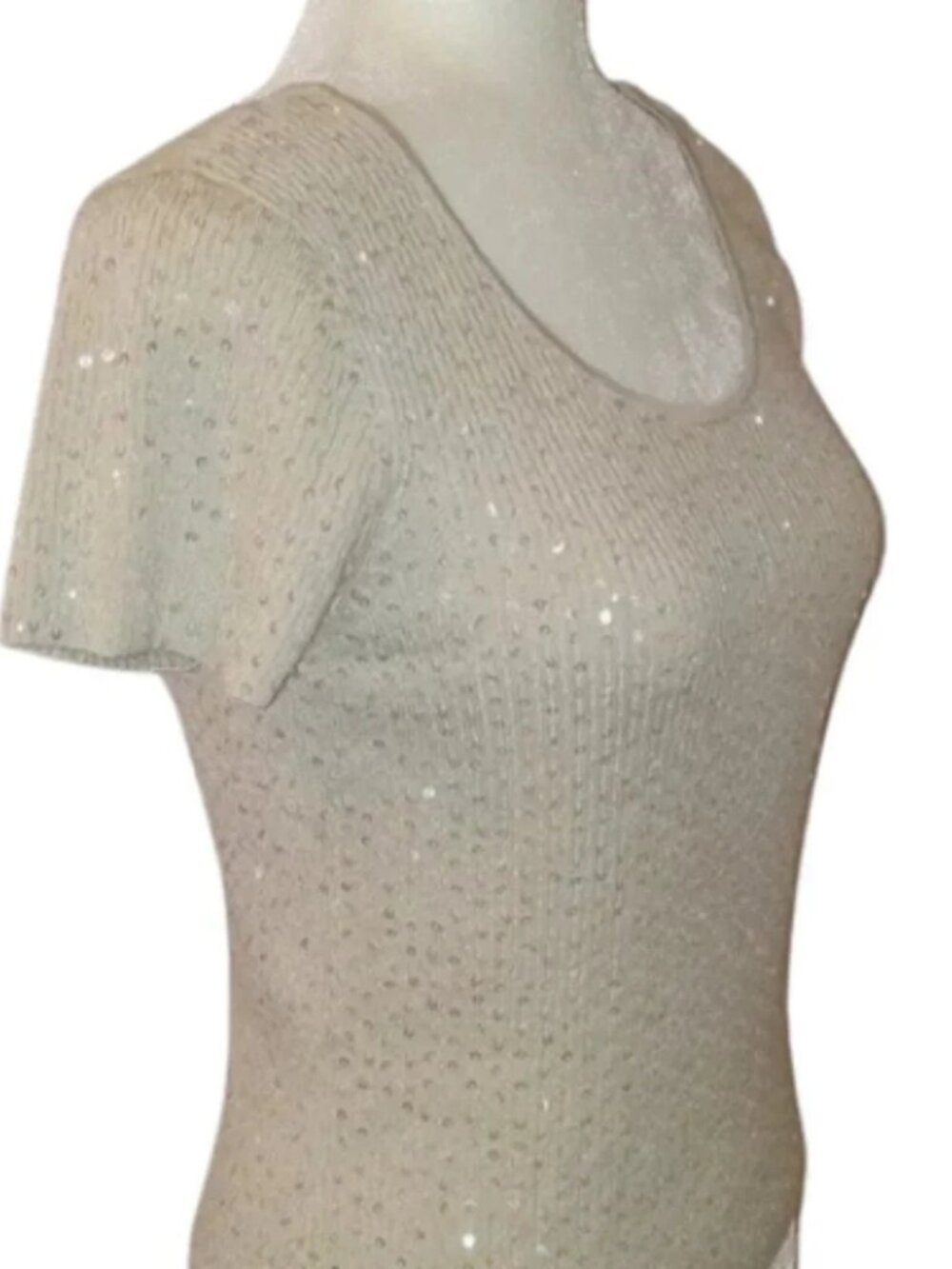 NWT Talbots Silk Sweater w/ Sparkly Sequins - Picture 2 of 6
